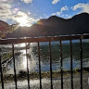 Meet your Posher, Alan